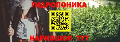эйфоретик Заволжье