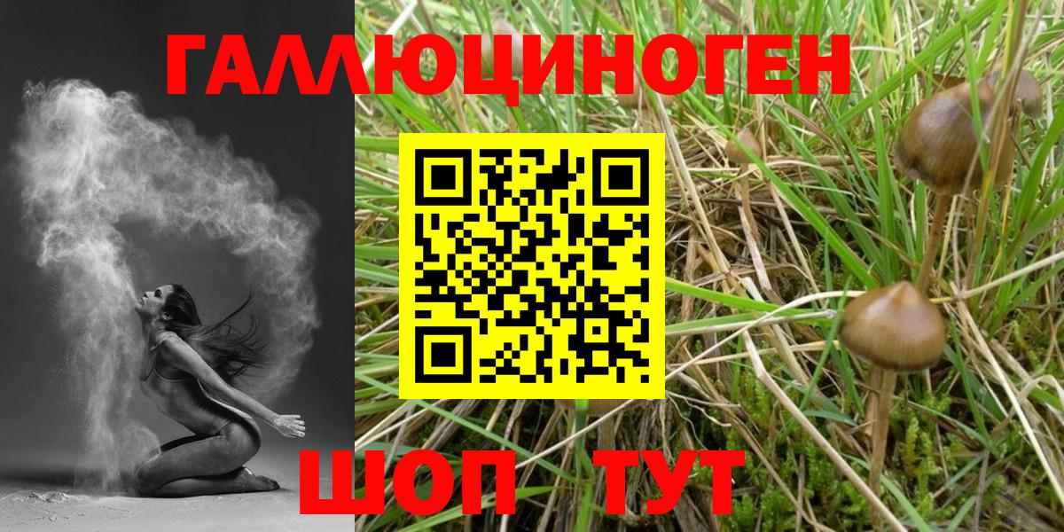 Галлюциногенные грибы Magic Shrooms Кудрово