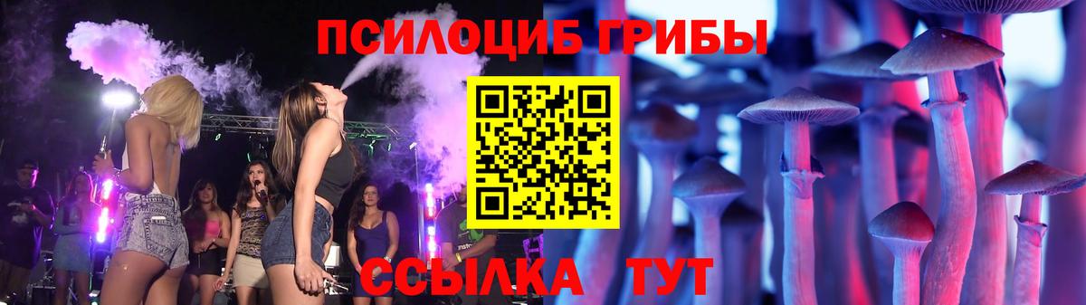 Псилоцибиновые грибы Psilocybe  Вход с VPN  Кудрово 